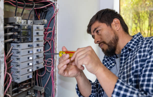 Best Residential Electrician Services  in La Vernia, TX